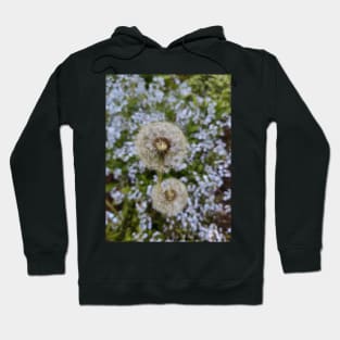 Dandelion Hoodie